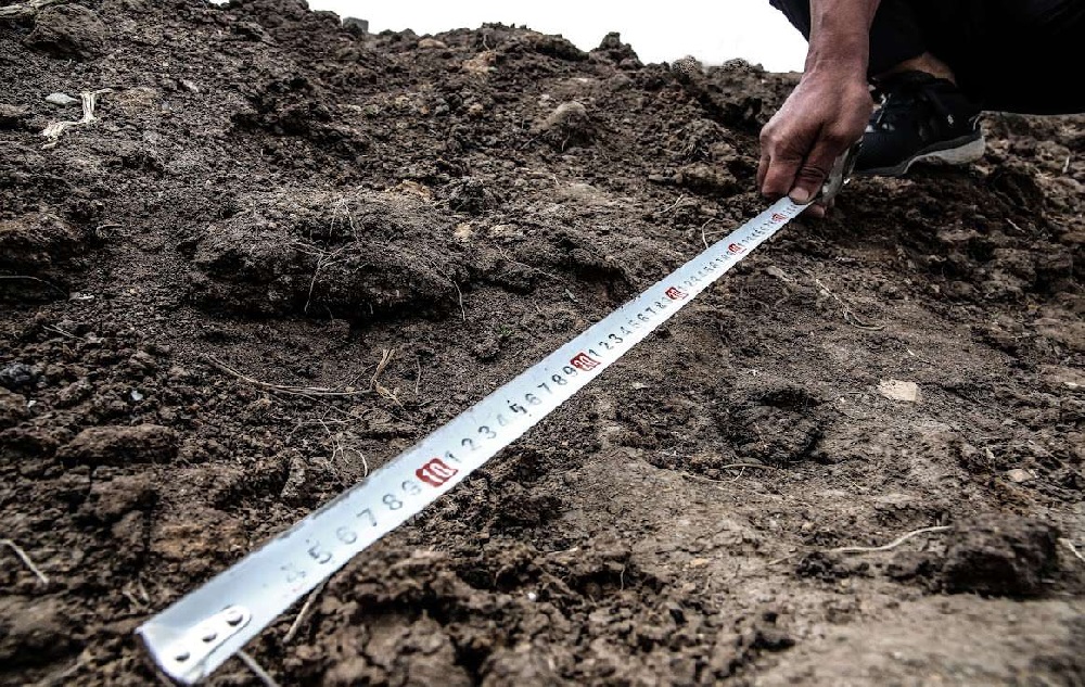 Возврат земель: почти 100 участков в ЗКО использовались не по назначению